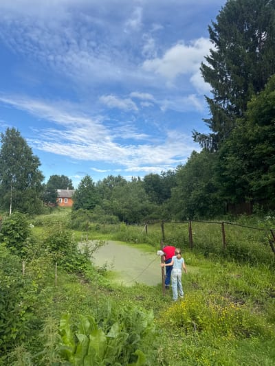 In the village of Malaya Rukovitskaya, Russia, a bright blue sky with scattered white clouds hangs over a verdant landscape. In the foreground, lush green vegetation dominates, with large leaves of what appear to be burdock or rhubarb plants framing the bottom of the image. Further back, a body of water, partially covered in green algae, is visible. Two people, an adult in a red shirt and blue pants and a younger individual in a light blue top and jeans, are near the water's edge. They appear to be interacting with a wooden pole. The scene is bordered by a rusty wire fence and surrounded by dense trees and foliage. In the distance, a red wooden house with white window frames is nestled among the trees.