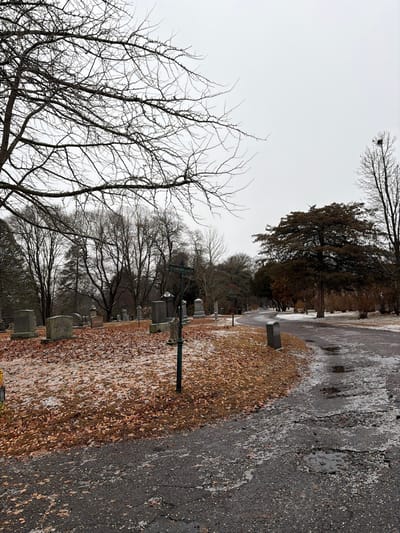 This image depicts a cemetery scene at Greenlawn Cemetery in Salem, Massachusetts, United States, likely during late fall or winter. The sky is uniformly overcast and light grey.
The foreground features a dark asphalt road, winding from the bottom center towards the middle right. The road surface is visibly cracked, with several potholes containing standing water or slush. To the left of the road is an unmanicured grassy area covered with numerous fallen brown and reddish-brown leaves, interspersed with patches of thin, white snow or frost.
A dark metal signpost with multiple directional arms is positioned centrally in the mid-ground, embedded in the grassy area between the road and a section of gravestones. One visible sign arm points left, partially legible as "TARBELL AVE". To the left and extending into the background, numerous gravestones and monuments of various sizes and designs are present, scattered across the snow-dusted, leaf-covered terrain.
The scene is dominated by trees. In the upper left and extending across the mid-ground are numerous deciduous trees with bare, dark branches, indicating a dormant state. A large, dense evergreen tree with dark reddish-brown foliage stands prominently in the mid-right. Another tall, bare tree on the far right exhibits a visible bird's nest in its upper branches. No individuals, vehicles, or active elements are present in the scene.