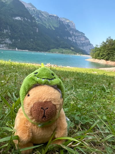 A stuffed teddy bear with a green dinosaur hat is lying on its back in the grass. The bear is tan with brown stitching for its nose and closed eyes. The dinosaur hat is green with a row of white teeth and black eyes. In the background, there is a body of water, possibly a lake, with a steep, rocky mountain behind it. The sky is a clear blue. The sun is shining, indicating it is daytime. The scene appears to be a peaceful outdoor setting in a mountainous region, consistent with the Glarus, Switzerland location context. There is a small white tag visible under the bear, but the text is not legible.