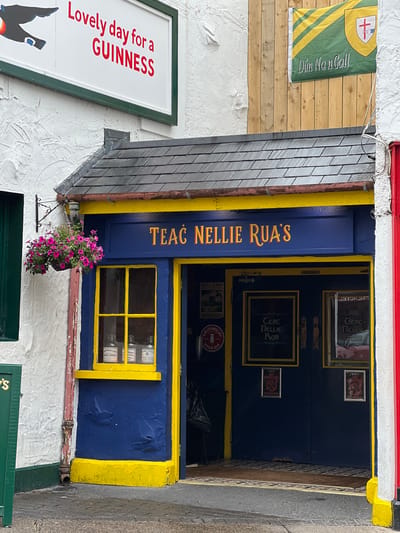 This is a vertically oriented, close-up, outdoor photograph of the exterior of a quaint Irish pub named "Teac Nellie Rua's." The building features a striking blue facade with bright yellow trim around the entrance, windows, and along the roofline. A dark blue door, adorned with gold lettering that reads "TEAC NELLIE RUA'S," is open, revealing the interior. Above the door, a small window with yellow mullions offers a glimpse inside.

To the left of the entrance, a white sign with green trim displays bold red text that says "Lovely day for a GUINNESS" and features a silhouette of a Guinness toucan. A green and yellow flag with the text "Dún Nan Gall" hangs on a wooden planked wall to the far left of the image. A hanging basket filled with vibrant pink flowers is suspended from the side of the building, adding a touch of color.

The architecture suggests a traditional Irish pub, with a dark, slate-tiled roof sloping down over the entrance. The ground in front of the pub appears to be a cobblestone or paved pathway. The time of day is difficult to ascertain precisely, but the lighting suggests it is daytime, possibly overcast, given the absence of strong shadows. The overall impression is one of a welcoming and charming establishment, characteristic of many pubs in the Irish countryside. Visible text includes the pub's name, a Guinness advertisement, and text on a flag and various signs within the pub's doorway and windows.