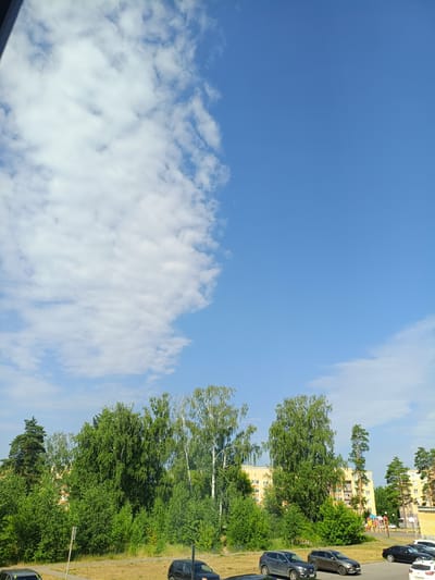 The image captures a daytime scene in Sarov, Russia, featuring a clear blue sky with scattered white clouds on the left side. Below the sky is a dense line of lush green trees, predominantly deciduous with some coniferous trees interspersed. Behind the trees, yellow apartment buildings are visible. In the foreground, a paved area with parked cars suggests a residential or public space. Several vehicles are parked, including a dark sedan, a grey SUV, a darker grey SUV, and a white sedan. The ground in front of the trees is dry and grassy. A playground with colorful equipment is partially visible behind the trees to the right. The overall impression is of a typical urban summer day.