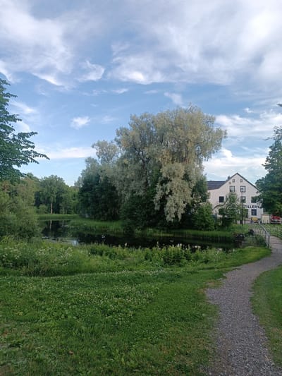 This is a landscape photograph taken in Kohila, Estonia. The scene depicts a serene natural environment with a body of water in the foreground, bordered by lush green grass and vegetation. A gravel pathway curves from the lower right of the frame into the scene. In the background, a large, light-colored building with dark windows stands among trees. The building has text on its side that reads "DISTILLERY". The sky is partly cloudy with a mix of blue sky and white, wispy clouds, suggesting it is daytime, possibly late afternoon or early evening, given the soft lighting. The overall atmosphere is peaceful and tranquil. No people are visible in the image. The setting appears to be a park or a rural area, possibly near an industrial or historical site given the presence of the distillery building.
