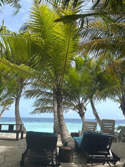 The image depicts a tropical beach scene, likely in Ukulhas, Maldives. Two palm trees frame the scene, their fronds filling the upper left quadrant and extending across the frame. The turquoise ocean stretches into the horizon, where a darker blue line separates it from the light blue sky. On the right side, there are a pair of white plastic chairs and a dark wooden sun lounger sitting on a sandy area. The sun lounger is positioned on what appears to be a wooden platform or log. The overall impression is one of relaxation and tropical paradise.