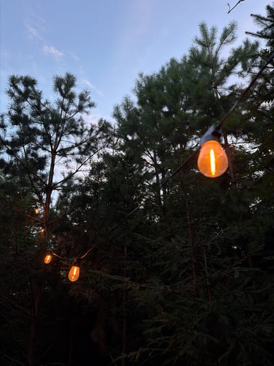 The image depicts an outdoor scene at dusk, likely in a wooded area. String lights with illuminated Edison bulbs hang across the frame, casting a warm, orange glow. These lights are strung between trees. The dominant vegetation consists of dark green pine trees, with some appearing denser than others. The sky above is a pale blue with wispy white clouds, indicating the transition from day to night. The overall atmosphere is serene and somewhat rustic. The location is identified as Kuliki, Russia. No people are visible in the image, and no actions or interactions are taking place.