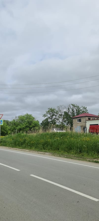 The image depicts a roadside scene under a cloudy sky. In the foreground, a gray asphalt road with white lane markings stretches horizontally across the frame. To the left of the road, a pedestrian crossing sign with a blue square background and a white pedestrian symbol is visible. Beyond the road and sign, a dense area of tall green grass and scattered yellow wildflowers grows. In the middle ground, several white vehicles, possibly a van or SUV, are parked or driving among the tall grass and trees. To the right, a building with a red tiled roof and light-colored walls is situated. Power lines are visible in the upper portion of the image, stretching across the sky. The environment appears to be rural or semi-rural, possibly on the outskirts of a city or town. The overall impression is of an overcast day in a natural setting adjacent to a road.