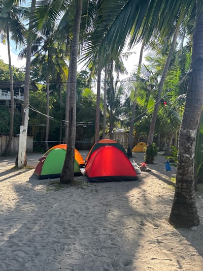 A beach campsite is set up on the sand, with several tents scattered among palm trees. In the foreground, a red and black tent is prominently displayed, its fabric illuminated by sunlight. To its left, a green and red tent is visible, partially obscured by the red tent and a palm tree trunk. Further back, an orange tent is seen behind the green tent, and a yellow tent is nestled deeper among the trees. The area is sandy with visible footprints. Palm trees dominate the scene, casting shadows on the ground. In the background, there appears to be some buildings and vegetation, suggesting a tropical environment. String lights with colored bulbs are strung between the palm trees. There are also several large blue water jugs and some white bags on the sand. The lighting suggests it is daytime, with the sun casting distinct shadows. There are no people visible in the image.
