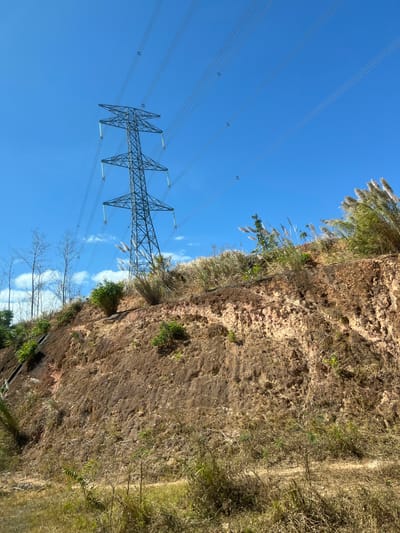An electricity pylon dominates the blue sky with its intricate steel framework and multiple power lines. Adjacent is a steep, earthen embankment covered in patchy vegetation, hinting at erosion and various plant growth. A narrow path cuts through the vegetation, suggesting human or animal passage. The composition is framed by the contrasting elements of engineered infrastructure and natural terrain.