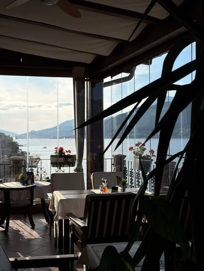 The image shows an indoor restaurant setting in Krašići, Montenegro, with tables set for dining. The view from the restaurant overlooks the sea and distant mountains through floor-to-ceiling windows. Red flowers are planted in containers on the balcony outside. The tables are covered with white tablecloths and set with glassware and plates. The chairs are dark and upholstered with a light-colored fabric. A plant partially obscures the view in the foreground. The scene is bathed in sunlight.