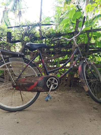 The image depicts a rusty, vintage bicycle leaning against a wooden fence amidst lush greenery. The bicycle, with a black seat and faded red and black frame, exhibits visible signs of wear and tear. A mesh basket is attached to the rear wheel. The background is dominated by dense foliage and palm trees, suggesting a tropical or subtropical outdoor environment. The ground is covered in dirt and small pebbles. The scene appears to be in an undeveloped area, possibly a rural setting, given the rustic fence and natural surroundings. The image has a grainy quality, suggesting it was taken with a mobile device in natural light. The location is identified as Rayeukpayaitek, Indonesia.