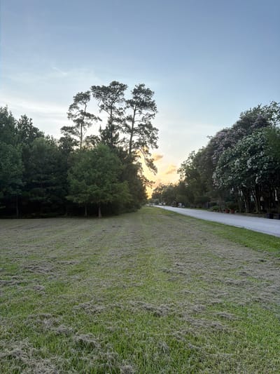 This image depicts a somewhat overgrown lawn adjacent to a gravel path and a dense line of trees. The scene is outdoors, likely in a park or a residential area with significant greenery. The grass appears to be a mix of healthy green blades and dry, brown thatch, suggesting it may be late summer or early fall, or perhaps the area has experienced drought conditions.
The trees are varied in type and density. Closest to the path are smaller, darker green trees, while further back, taller trees with lighter green foliage are visible. Some of these taller trees have a more sparse, pine-like appearance. A prominent tree in the mid-ground has a distinctive branching pattern and appears quite tall. In the far distance, a cluster of trees is heavily laden with small, light-colored blossoms, possibly flowering trees like crepe myrtles, common in Houston. The presence of potted plants and what appear to be outdoor furniture or decorative items can be seen among the trees in the background, hinting at a landscaped or recreational setting.
The sky is a clear, pale blue, transitioning to a soft yellow and orange hue near the horizon, indicating either sunrise or sunset. The lighting suggests it is either early morning or late afternoon. No people or specific objects are clearly identifiable as subjects, beyond the natural elements of the landscape. The overall mood is peaceful and serene, capturing a quiet moment in nature. No text is visible in the image. The location context is Houston, United States of America.