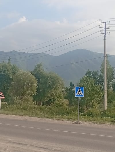 This media file captures a roadside scene in Beş-Küŋgöy, Kyrgyzstan. The foreground features an asphalt road with a white line dividing the lanes, suggesting a well-maintained pathway. To the right of the road, a modern utility pole stands tall, supporting a network of electrical wires that stretch across the frame. Beside the pole, a blue square sign with a white border displays a pedestrian symbol, indicating a crosswalk area.
Further back, a variety of trees and lush green vegetation line the roadside. Among these, a triangular warning sign with a red border features a black silhouette of a quadruped, likely signaling the presence of livestock. In the distance, rolling mountains form a majestic backdrop, their slopes softened by a hazy, possibly overcast sky.
The lighting suggests it is daytime, with diffused light hinting at either early morning or late afternoon, or perhaps a cloudy day. The overall atmosphere is one of rural tranquility, with no people or specific activities immediately visible. The signs and the landscape point towards a location in Kyrgyzstan, consistent with the provided location context.