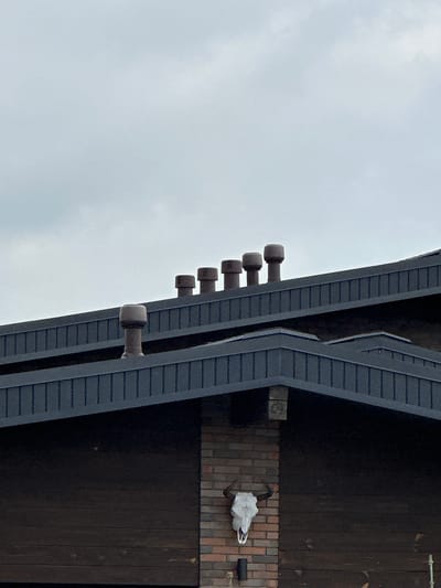 The image shows a dark, modern building with a sloped roof. On the roof, there are six cylindrical ventilation pipes arranged in a line. Below the roof, a bull skull is mounted on a brick wall. The sky is overcast and appears light grey. The scene is likely part of a building in Nogornyi, Russia, as indicated by the provided location.