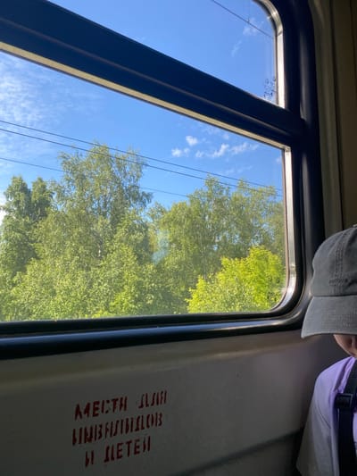 The image presents a view from the interior of a public transport vehicle, likely a train, looking out a window on a clear, sunny day in Красная Поляна, Russia. Outside, a vivid blue sky with scattered white clouds dominates the upper portion of the frame, intersected by multiple horizontal overhead power lines. Below the sky, a dense forest of lush green deciduous trees, including what appear to be birches, fills the landscape. The interior features a dark window frame with a lighter, possibly off-white, inner trim. The upper right corner of the window glass contains faint, translucent markings, including a stylized winged emblem and an accessibility symbol. To the right of the window, a person is partially visible, wearing a light purple shirt and a grey baseball cap with a dark strap across their shoulder. Below the window, on the light-colored interior wall, red stenciled Cyrillic text reads "МЕСТА ДЛЯ ИНВАЛИДОВ И ДЕТЕЙ," translating to "PLACES FOR DISABLED PERSONS AND CHILDREN."