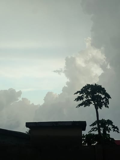 The image shows a partially cloudy sky, a silhouette of a building and a small tree. There are no people present. The scene is captured in Gaga, Nigeria, located at the coordinates 7.304 latitude, 5.153 longitude. The building appears to be a single-story structure with a flat roof, its precise function or purpose are not evident from the image. The tree, likely a papaya tree, stands tall and its leaves are mostly obscured by the dark silhouette. There is no indication of activity in the environment. The overcast sky suggests the possibility of impending rainfall.