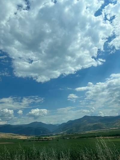 This is an outdoor, low-angle, vertical shot of a landscape with a prominent sky and mountains. The sky takes up the majority of the frame, filled with a mix of bright blue sky and large, fluffy white and gray clouds. Sunlight breaks through some of the clouds, creating visible rays. Below the sky, a range of dark green, layered mountains stretches across the horizon. The foothills leading up to the mountains are covered in various shades of green and yellow fields, suggesting agriculture. In the foreground, a field of tall, green plants with some stalks extending upwards is visible. The image appears to have been taken during the daytime. There are no people or animals visible in the scene. The setting appears to be rural, possibly in or near the city of Isperihovo, Bulgaria, given the hilly terrain and agricultural fields.