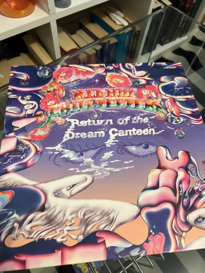 An album cover for Red Hot Chili Peppers' "Return of the Dream Canteen" is showcased. The artwork features surreal and abstract imagery with eyes, swan-like figures, and floral elements in vibrant colors. A distorted title runs down the left side. The cover is propped up in a wire rack, and a bookshelf with books is visible in the background.