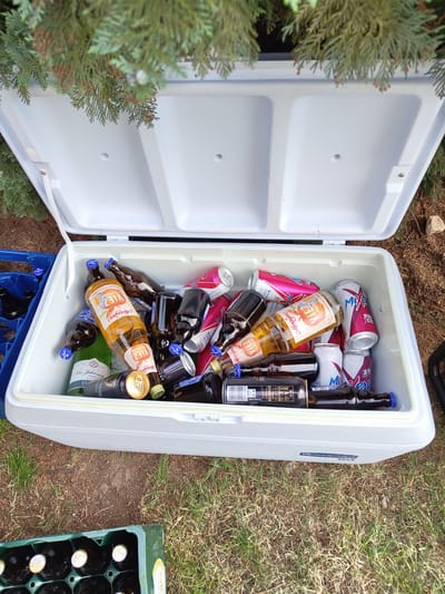 The image shows a white cooler filled with assorted alcoholic beverages, including bottles and cans. Brands visible include "Merziger Viez," "Guinness," and "Mixery." The cooler is open, with its lid leaning against some greenery on the left side of the frame. The cooler sits atop a blue plastic crate. To the right of the cooler, on the grass, is a green crate filled with dark-colored bottles, seemingly beer. The background consists of grass, dirt, and a few rocks. The scene is outdoors. Considering the "Merziger Viez" brand's origin, it is likely the location is in the vicinity of Schmelz, Germany.