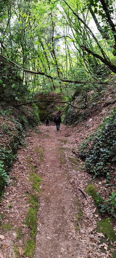 A medium shot reveals a path covered in fallen leaves, bisecting an area in Corchiano, Italy. The location appears to be a forested, enclosed space, with natural banks rising on both sides of the path, and a tunnel-like structure in the background. Moss and ivy cover the banks, adding to the natural, overgrown feel of the area. Two figures, appearing to be adults, are walking down the path, moving toward the viewer. The environment appears lush with green foliage overhead, indicating a dense wooded area. A fallen branch lies partially across the path in the foreground.