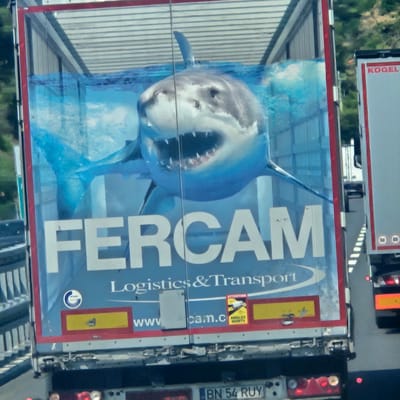 A white truck with a large graphic of a shark in water is parked on a roadside, possibly in Cipressa, Italy, based on a plate that reads "BN 54 RUY". The shark appears to be a Great White with its mouth open, revealing sharp teeth. The truck's side features the logo "FERCAM" and "Logistics & Transport". Another truck, possibly a Kogel brand, is visible to the right, with its back end showing red and white striped reflectors and a yellow taillight. The environment appears to be a sunny day, with trees and a hillside visible in the background. The truck is stationary, and no people are visible in the frame.