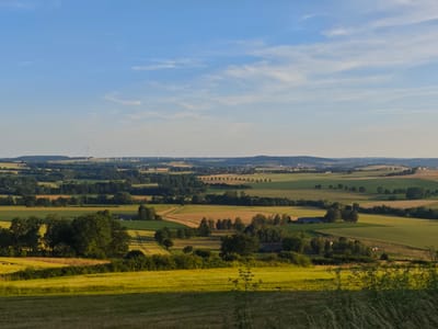This is a panoramic, high-angle landscape photograph of the rural outskirts of Schieder-Schwalenberg, Germany, taken during the golden hour. The foreground features a gently sloping field with dry, light-brown grasses and some green vegetation. Beyond this, a vibrant green field with parallel tire tracks stretches across the frame, bordered by a dense row of dark green trees and bushes.
In the middle ground, a patchwork of agricultural fields unfolds. Some fields are a rich green, while others appear golden or light brown, suggesting different crops or stages of growth. Scattered amongst the fields are clusters of trees, some appearing as solitary specimens and others forming small copses. A few agricultural buildings, appearing as dark rectangular structures, are visible within the landscape.
The background is characterized by rolling hills covered in a mixture of trees and fields. In the far distance, a line of white wind turbines is silhouetted against the horizon, indicating a wind farm. The sky above is a clear, pale blue with wispy white clouds, catching the warm light of the setting sun. The overall impression is one of a serene and cultivated rural environment under a warm, late afternoon or early evening sky.