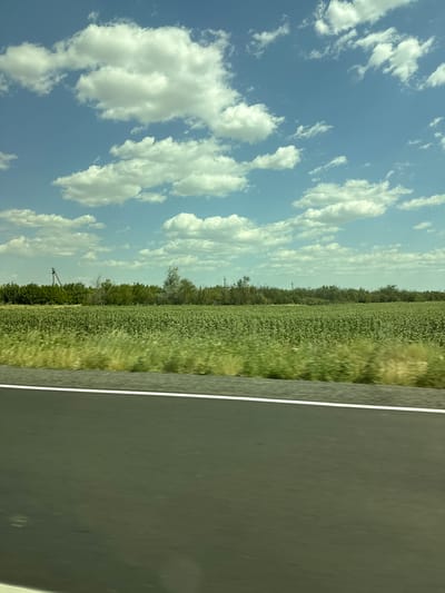 The image displays a rural landscape scene captured from a moving vehicle, likely a car, on a sunny day. The perspective is from the passenger side, looking out.
The main subjects are a vast green field of crops, likely corn or soybeans, stretching towards a line of trees in the distance. The field appears dense and healthy, with a gentle sway suggesting a light breeze. To the right of the field is a dark asphalt road with a white lane marker, indicating it's a paved road. The sky above is a clear blue, dotted with fluffy white cumulus clouds. The overall lighting suggests it is daytime, likely mid-morning or afternoon, with ample sunlight illuminating the scene.
In the background, the line of trees forms a natural border to the agricultural land. A few power poles are visible amongst the trees, hinting at rural infrastructure. The image is oriented vertically, with the road on the right and the sky and field on the left.
No people or specific objects are prominently featured, the focus being on the natural and agricultural environment. The scene evokes a sense of openness and tranquility, typical of countryside travel. There is no visible text in the image.
The location context provided is Shchaslyve, Ukraine. This suggests the image was taken in a rural area within that region, known for its agricultural land.