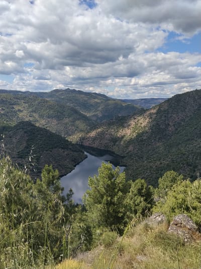 The image depicts a mountainous landscape with a river running through a valley, likely located in the vicinity of Carrazeda de Ansiães, Portugal. The river, appearing dark and reflective, winds through the valley floor. The hillsides are covered in dense vegetation, appearing predominantly green. The sky is filled with dynamic cloud formations. In the foreground, there is an abundance of vegetation, including grasses, shrubs, and trees. Some rocks are also visible in the lower right part of the image. No people are visible.