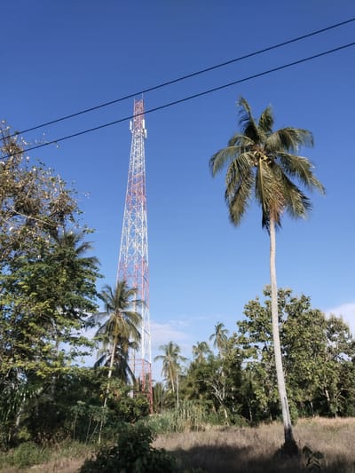 The image presents a scene in Uleeblang, Indonesia, featuring a tall, red and white telecommunications tower situated among various trees and vegetation. The tower is the most prominent object in the frame, rising high against a clear blue sky. Overhead, a set of electrical wires cross the upper portion of the image. There are several palm trees, one of which stands tall and is located to the right of the tower. Various other trees and foliage fill the lower part of the image, creating a sense of a rural or semi-rural environment. The foreground includes overgrown grass, suggesting an unmaintained or natural landscape.