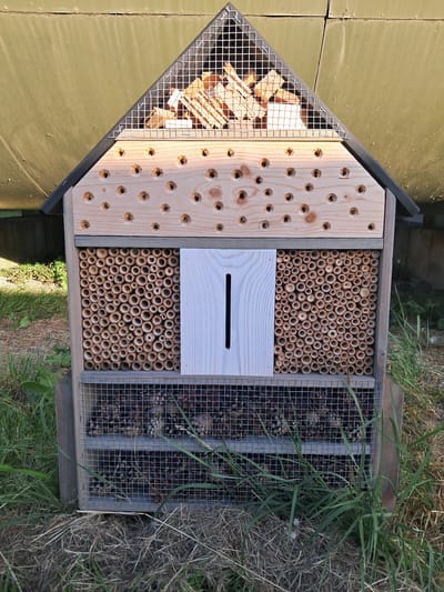 An insect hotel is situated outdoors on the ground, surrounded by dry grass and some green vegetation. The hotel is a multi-tiered wooden structure with a gabled roof. The top section of the hotel, under the roof's peak, is enclosed by a metal mesh and contains pieces of wood. Below this, a section of the hotel features a wooden panel with several drilled holes. The middle section is filled with numerous hollow bamboo stalks of varying diameters. To the left of the bamboo stalks, there is a vertical white wooden panel with a narrow slot. The bottom section of the insect hotel is covered by a metal mesh, revealing a collection of natural materials such as pinecones and possibly twigs and leaves. The insect hotel is positioned in front of a large, olive-green metallic surface, possibly a wall or a large structure. There is no visible evidence of people or any ongoing actions. The scene appears to be a static observation of the insect hotel and its immediate surroundings. The location is stated to be in the city of Tinte, Netherlands.