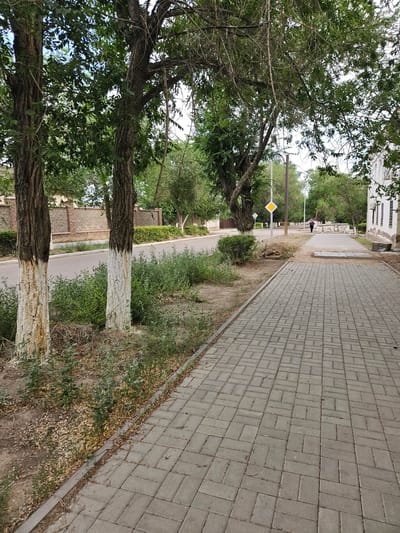 The image depicts a sidewalk in the city of Balqash, Kazakhstan. The sidewalk is paved with gray interlocking bricks and runs alongside a street lined with trees. The trees have rough bark and some are painted white on their lower trunks. Green bushes and foliage grow along the edge of the sidewalk and street. In the distance, a person is walking away from the camera on the sidewalk. A yellow diamond-shaped road sign is visible on a pole on the other side of the street. Buildings, one with white walls and windows, can be seen in the background. The environment appears to be an urban or suburban street scene.