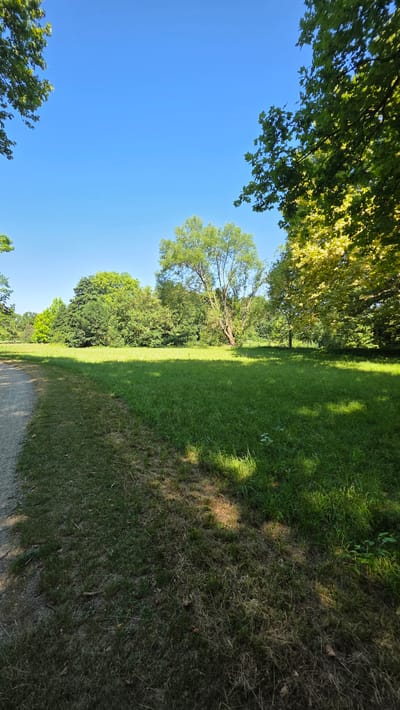 This is a photograph of a grassy field with trees on a sunny day. A dirt path runs along the left side of the image, leading into the field. The field is a vibrant green, with patches of sunlight and shadow. In the background, a variety of trees create a natural backdrop. The sky is a clear, bright blue. The scene appears to be a public park or recreational area, likely in Bruckneudorf, Austria, given the context. There are no people or animals visible in the frame.