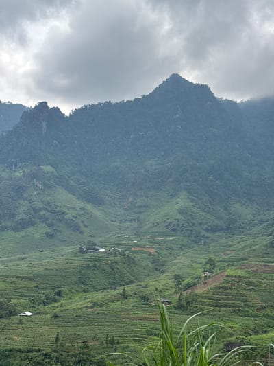 The image presents a vast, panoramic view of a mountainous landscape, likely a valley or a mountain slope, under a cloudy sky. The photograph, which appears to be rotated 90 degrees from its intended landscape orientation, shows a dramatic contrast between the rugged natural mountain and the human-modified agricultural land.
On the left side, a prominent, dark green mountain rises steeply, its peaks partially shrouded by thick, light grey clouds that dominate the upper sky. The mountain's surface is densely covered with trees and vegetation, giving it a lush yet formidable appearance. The jagged contours of the mountain ridge are clearly visible against the bright sky.
The right side of the scene is characterized by extensive terraced agricultural fields that meticulously carve into the terrain. These vibrant green terraces stretch across the mid-ground and foreground, forming a striking pattern of horizontal lines that follow the natural slope. Scattered among these cultivated fields are several small, light-colored structures, likely houses or sheds, indicating human settlement within this agricultural setting. In the extreme right foreground, blades of long green grass partially frame the view.
The weather appears overcast, with soft, diffused light suggesting a cloudy or possibly humid day. The overall impression is one of natural grandeur combined with human endeavor in a remote or rural setting. No people or visible text are present in the image. The terraced fields are a strong geographical indicator, characteristic of mountainous agricultural regions such as Minh Sơn Commune, Vietnam.