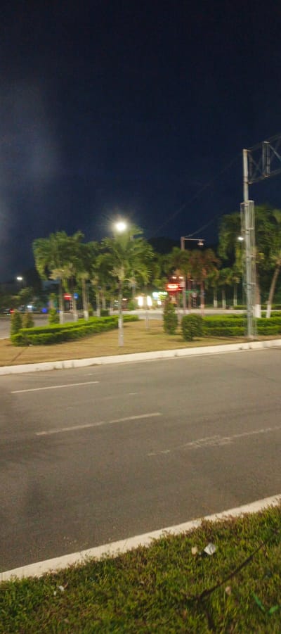 The image shows a street scene at night in Diên Lạc, Vietnam. A paved road with white lane markings runs horizontally across the foreground. To the left of the road is a grassy area with a white curb, followed by a manicured hedge line and several palm trees. In the background, streetlights illuminate the scene, and there are various buildings and signs, some of which appear to be illuminated with neon lights, suggesting a commercial or urban area. A tall, metal pole, possibly a street light or signage support, is visible on the right side of the frame. The sky is dark, indicating nighttime. There are no people or vehicles visible in the image.