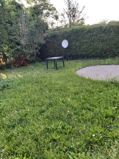 The image shows a backyard scene. A dark-colored rectangular table stands on a grassy lawn. To the left of the table, a satellite dish is mounted on a stand. Behind the table and satellite dish, a dense green hedge forms a backdrop. To the left of the hedge, there are trees and some dried brown foliage on the ground. In the foreground and mid-ground, the lawn is covered in green grass with some weeds and scattered white dandelion seed heads. To the right of the table, a circular paved patio area is visible. The sun appears to be low in the sky, casting a warm light on the scene. The image was taken in Dendermonde, Belgium.
