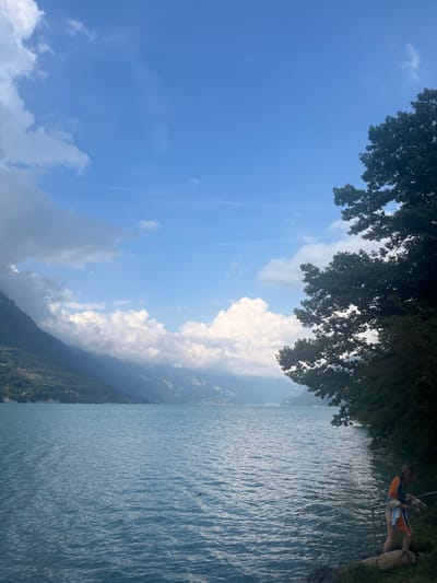 The image depicts a panoramic view of Lake Brienz in Bönigen, Switzerland, under a partially cloudy blue sky. The sky occupies the upper third of the frame, featuring extensive white cumulus clouds, particularly on the left and central horizon, with lighter cirrus-like clouds also visible. The lake's surface, a vibrant turquoise, is moderately rippled.

On the left side of the frame, steep, heavily vegetated mountains rise directly from the lake, their peaks partially obscured by dense white clouds. Small structures are visible on the lower mountain slopes. The right side of the image is dominated by a dense, dark green deciduous tree line extending from the mid-ground to the foreground, casting a shadow on the immediate shore.

In the lower right corner, a single individual is partially visible on a grassy bank at the lake's edge. The person is wearing an orange top over a light-colored garment and appears to be kneeling or bending forward. They are holding a light-colored object, possibly a towel or piece of clothing, close to the water. A short, dark, curved metal rail extends into the water near the individual. A horizontal log lies on the grassy bank near the person's feet. No other people or identifiable boats are present in the visible portion of the lake.