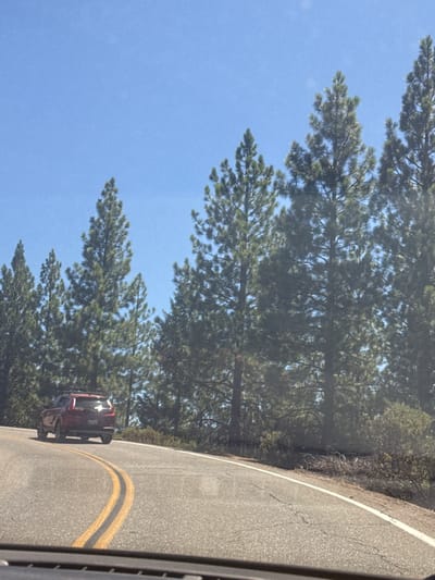 A red SUV is driving on a curved road bordered by pine trees and under a clear blue sky. The road has double yellow lines painted on it, indicating it is a two-way street. The SUV is in the right lane, heading away from the viewer and around a bend to the left. The trees are tall and dense, with some brush and dry branches visible along the side of the road. The scene appears to be in a natural, possibly mountainous or forested area. The image is taken from the perspective of a vehicle driving behind the SUV.