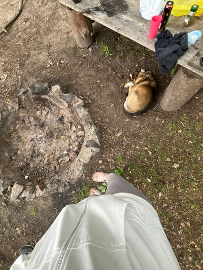 A top-down shot captures a campsite with a fire pit in the foreground. The fire pit is circular and made of stones, filled with ash and debris. To the right of the fire pit, a dog is curled up sleeping on the dirt ground. Further to the right is a wooden table supported by logs, with various items on it, including a pink cup, a black t-shirt, and bottles. The ground around the campsite is dirt and scattered with leaves and grass. The scene appears to be set in a natural, outdoor location, possibly a park or forest, consistent with the environment of Вяззеўскі сельскі Савет, Belarus. The image is taken from a high angle, with the feet of a person wearing pink sandals and grey pants visible in the bottom right corner, and the person's white jacket occupying the lower half of the frame.