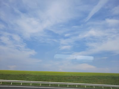 The image depicts a rural roadside scene. A white metal guardrail runs horizontally across the lower portion of the frame, separating a dark asphalt road from a vibrant green field. The field is lush with vegetation, appearing to be either crops or tall grass, with occasional patches of yellow flowers visible. In the background, a vast expanse of blue sky is filled with scattered white clouds, some wispy and streaky, others more dense. A rectangular reflection, possibly from a window or building, is visible in the sky. The overall impression is one of a calm, open landscape under a bright sky. The location is identified as Kuzbasskii, Russia.