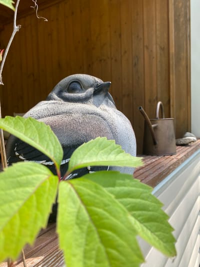 This is a medium shot, eye-level, close-up, outdoor photograph of a ceramic bird figurine on a wooden shelf. The bird figurine is grey and white, with a black eye and black and white striped wings. It is positioned on a wooden shelf that appears to be part of an outdoor structure, possibly a porch or shed. To the right of the bird, there is a small, tarnished copper watering can and two smooth, grey stones. In the foreground, out of focus, are bright green leaves from a plant. The background consists of vertical wooden planks and a white, ridged surface, likely siding. The lighting suggests a sunny day. The photograph was taken in Korvet, Russia.