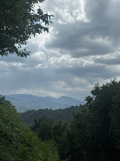 The image shows a view of distant mountains framed by trees in the foreground. The sky is overcast with grey and white clouds. A suggestion of hills or mountains is present in the background. The vegetation framing the scene appears lush and green. The location is identified as Belovo, Bulgaria. No people are visible. The scene appears to be observed during the daytime. Power lines are visible on the right of the mountain.