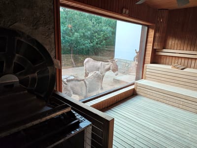 The image captures a scene inside a sauna at the Winery Hristis Starosel complex, located in Starosel, Bulgaria. Through a large window, three donkeys are visible outside in a fenced enclosure. The sauna interior features wooden paneling, tiered wooden benches, and a heater unit with what appears to be a water wheel design element. The exterior environment shows trees, grass, and what seems to be a stone wall partially visible in the background.