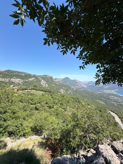 This is a wide, landscape-oriented photograph taken from a high vantage point overlooking a mountainous, coastal region. The foreground is dominated by rugged, grey rocks and green foliage, with branches and leaves from a tree obscuring the top left and right corners of the image.
In the mid-ground, rolling hills covered in dense, green vegetation stretch out. Scattered amongst the trees are a few small, red-roofed buildings, suggesting a rural settlement. Further in the distance, the landscape transitions to more arid, rocky mountains with lighter colored rock formations.
The far background reveals a valley leading to a body of water, likely the sea, which is a vibrant blue. Along the coastline, a small town or village with scattered buildings is visible. A winding road snakes along the edge of the coast and then curves inland, disappearing into the terrain. The sky is a clear, bright blue with no clouds.
The scene depicts a natural, mountainous landscape with signs of human habitation in the form of a small settlement and a road. The vantage point suggests the photograph was taken from a hiking trail or viewpoint in the hills above the coast. The location is identified as Novoselje, Montenegro.