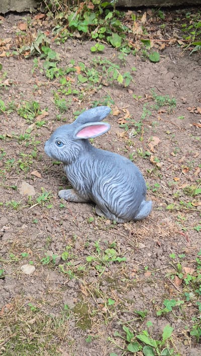 A grey, ceramic garden statue of a rabbit is positioned on the ground amongst dry grass, dirt, and sparse green vegetation. The rabbit is facing left, with its ears upright and pink interiors visible. Its eyes are painted blue. The ground is uneven and appears to be in a garden or outdoor space.