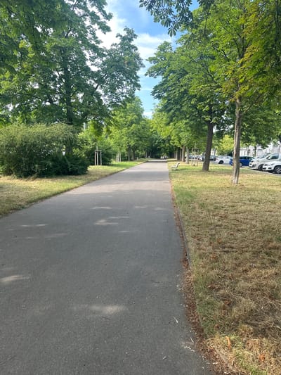 The image depicts a paved pathway lined with trees on the left and dry grass on the right. The pathway curves into the distance, creating a sense of depth. On the far left, the lush green canopy of trees forms a dense border, with some branches reaching towards the bright blue sky dotted with wispy clouds. Behind the trees, several cars, including a white SUV and a blue sedan, are parked along a street. In the background, apartment buildings are visible. The dry grass on the right side of the path suggests a warm, possibly summer, day. The sunlight casts shadows of the trees onto the pathway, indicating it is daytime. The scene appears to be a public area, possibly a park or a residential street with ample greenery. There is no visible text in the image.