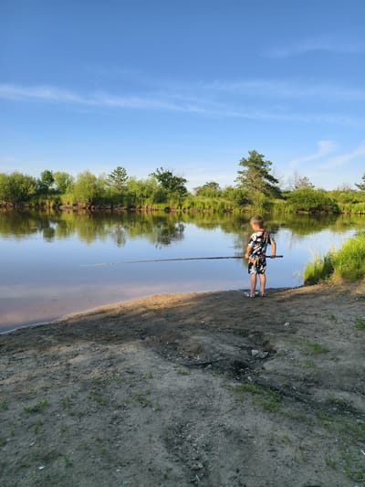 In a serene natural setting, a young boy stands at the edge of a wide, calm river, holding a fishing rod. The river reflects the lush green trees and the clear blue sky with wispy clouds. The boy, wearing a patterned shirt and shorts, is facing away from the camera, engrossed in his fishing activity. The riverbank is composed of sand and dirt, with sparse vegetation. The scene evokes a peaceful and idyllic atmosphere, suggesting a recreational outing by the water. The image location is in the city of Nikolskoye, Russia.