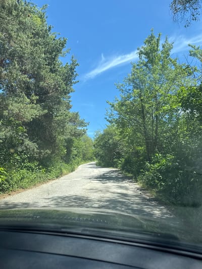 The image shows a narrow asphalt road winding through a green, wooded area. The perspective is from inside a vehicle, looking through a dirty window, with the car's interior visible on the right side of the frame. Trees and lush vegetation line both sides of the road, creating a sense of enclosure. Above, a blue sky is visible, punctuated by wispy, cirrus clouds. The road is cracked and shows signs of wear. The location is suggested to be near Gradets, Bulgaria, based on provided information. There are no visible people.