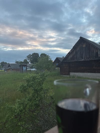 The image depicts a rural scene at dusk in Ганчарскі сельскі Савет, Belarus. In the foreground, a glass containing a dark liquid is out of focus, partially obscuring the view. The middle ground is dominated by tall, green grass and several rustic wooden structures, possibly outbuildings or small houses. One structure, on the right, is a large, weathered wooden building with a sloped roof that appears to be in disrepair. Several smaller buildings with similar rustic architecture are visible further back in the scene. The background features a dense line of trees and a cloudy sky with subtle hues of pink and orange, indicating the end of the day. The overall atmosphere is one of quiet, rural life under a dramatic sky.