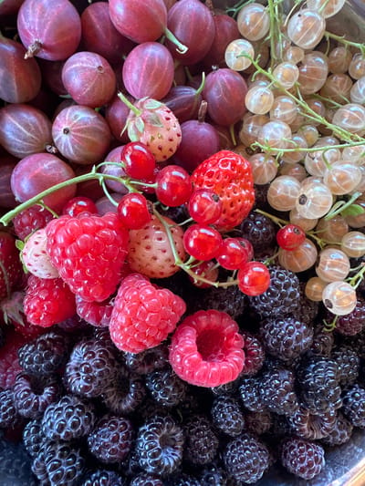 The image is a close-up, overhead view of a bowl filled with an assortment of fresh berries. The berries are diverse in color and type, including deep red raspberries, dark blackberries, light-colored gooseberries, and red currants. Some white or translucent berries, possibly white currants or unripe gooseberries, are also visible. A single red strawberry with visible seeds is placed among the other berries. The berries are arranged in a seemingly random but abundant manner, with some still attached to their stems. The lighting suggests an indoor setting, possibly a kitchen or dining area. There are no people or any indication of a specific location within Izobilnyy, Russia. The scene is purely a still life of various berries.