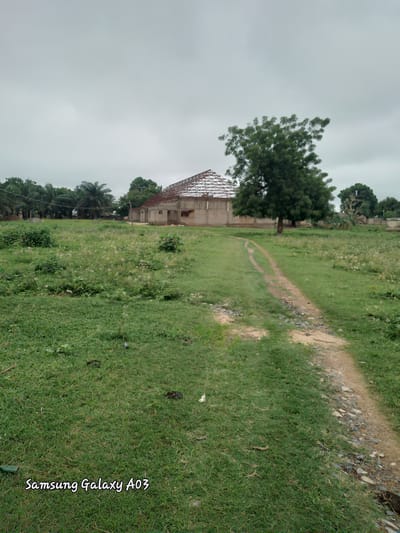 In Doka-Tofa, Nigeria, an overcast sky looms over a rural landscape. A dirt path winds through a field of green grass dotted with small white flowers and bushy vegetation. To the left, a line of palm trees and other foliage stretches across the background. Dominating the mid-ground is a concrete building under construction, its roof frame exposed to the elements. A large, leafy tree stands prominently to the right of the building, casting a shadow on the path. The overall scene depicts an undeveloped area with ongoing construction, characteristic of rural settings in Nigeria. The foreground shows a patch of well-maintained grass with the Samsung Galaxy A03 watermark in the bottom left corner.