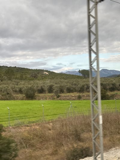 The image depicts a rural landscape near Pont de Molins, Spain, under an overcast sky. In the immediate foreground on the right, a blurred section of a grey metal lattice structure, consistent with a utility or railway support pole, is visible. Below this, the ground is covered with dry, brown vegetation. Moving left, a vibrant green agricultural field, likely a pasture or crop field, extends across the mid-ground, demarcated by a fence composed of several thin grey posts. Behind this field, a low, dry-stacked stone wall runs horizontally, followed by an extensive olive grove with numerous mature trees. Further into the background, a tree-covered hillside rises, upon which a light-colored, indistinct structure or formation is visible on an upper slope. Beyond the hillside, a range of dark, distant mountains is silhouetted against a cloudy sky featuring varying shades of grey and hints of pale blue. No individuals or specific actions are discernible.