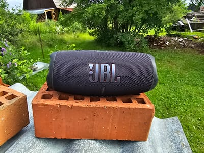 In Gaivinskoe Lesnichestvo, Russia, a black JBL portable speaker is positioned on top of a brick, which itself rests on a corrugated metal surface. The scene is outdoors, with a backdrop of lush green grass, trees, and a wooden structure that appears to be a house or shed. There are also some purple wildflowers in the foreground. The image is captured from a medium distance, providing a clear view of the speaker and its immediate surroundings.